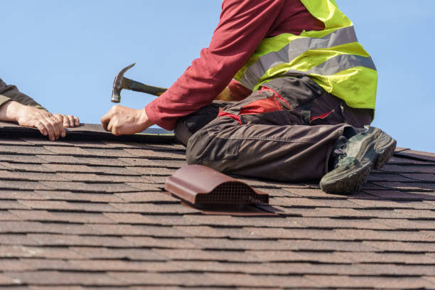 Roof Gutter Cleaning in Silsbee, TX